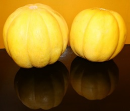 Creole melon fruit. Photo: F. Espinosa