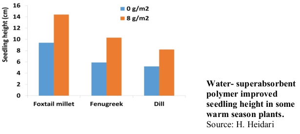 Water- superabsorbent polymer improved seedling height in some warm season plants. Source: H. Heidari